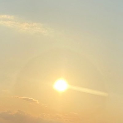 poripuro_pirenn's profile picture. 料理 動物 子供 blが好きです / 見る専 / 無言フォロー失礼します( * . .)"