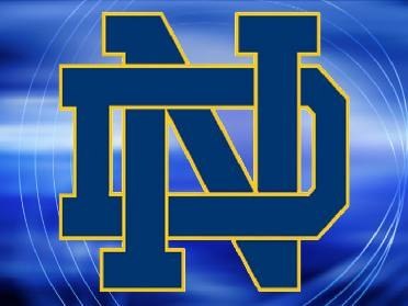 tommyrealdog's profile picture. 