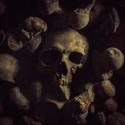 Aturixiosさんのプロフィール画像