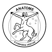 Anatomical Society of Southern Africa (@anatomy_sa) 's Twitter Profile