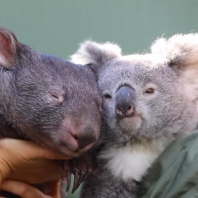 karaage_kouda's profile picture. 釣りとDIYが好き。あとバイク。 企業4年目 ショアジギング ライトゲーム