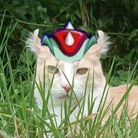 Jean-Baptiste 🎀🌴☃️🐯🩶 (@jeanbaptistecat) 's Twitter Profile