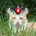 Jean-Baptiste 🎀🌴☃️🐯🩶 (@jeanbaptistecat) Twitter profile photo Jean-Baptiste 🎀🌴☃️🐯🩶 (@jeanbaptistecat) Twitter profile photo