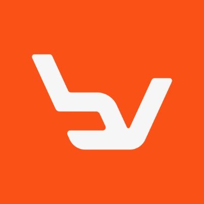 Beyond Vision Profile