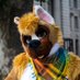 Ani Boxer (@ani_boxer) Twitter profile photo Ani Boxer (@ani_boxer) Twitter profile photo