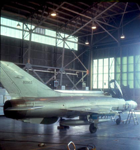 havedoughnut's profile picture. 