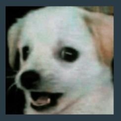 luc14y854's profile picture. En Twitter solo por los gatitos y las desviadas 🌈