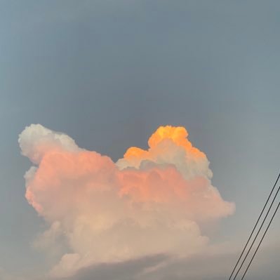 su_momonomama's profile picture. 主に音楽 🐕 🕊 🗻 🐟🍑