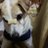 halu02596376's profile image