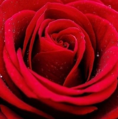 PatmiatiP's profile picture. indah pada waktunya
