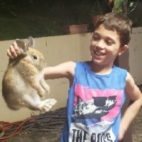 Dereck Diaz Circuns (@dcircuns) 's Twitter Profile