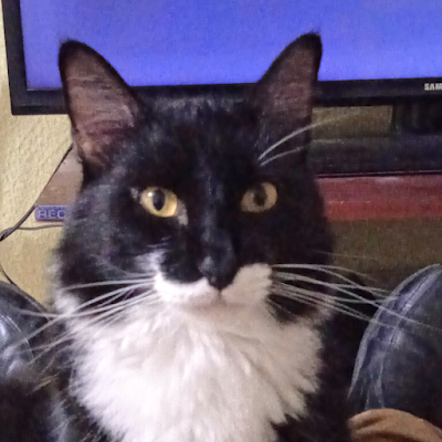 Ricardo23546361's profile picture. Los Gatos