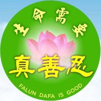 法輪大法在長春 (@falundafa_cc) 's Twitter Profile