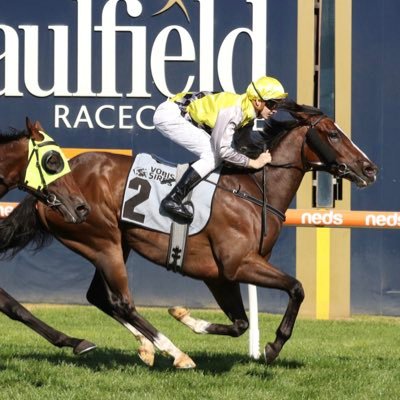 Snr Producer https://t.co/lRf0gcXajb. Previously Ch10 & Edu at RMIT and NMIT. Racing Viddora, Jedastar, Goldstone, Chartres, Ostraka, Skyhook. Views my own.