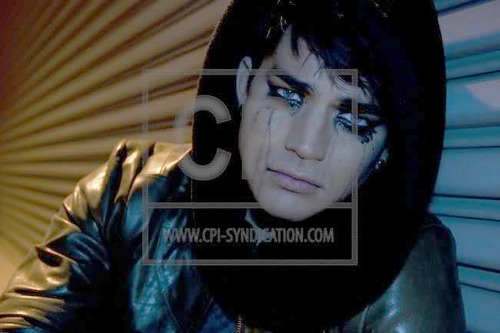 LA4Lambert's profile picture. Adam Lambert es un cantante genial y queremos que lo conozcas. Esperamos contemplarlo en vivo pronto en todos los países latinomaricanos.