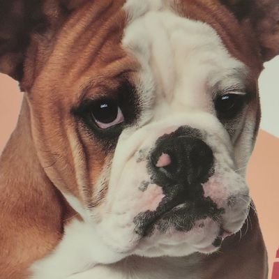 BantaJill's profile picture. Blake Elementary Family Resource Coordinator