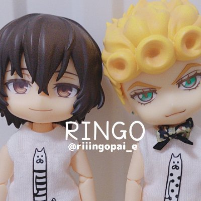 お休み中🙇‍♀️苹果(Ringo)🐞🍎🤕さんのプロフィール画像