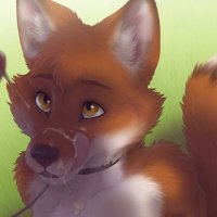 Cody The Fox 🦊 (@foxysubbycody) 's Twitter Profile