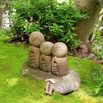 ぴょん🐸さんのプロフィール画像