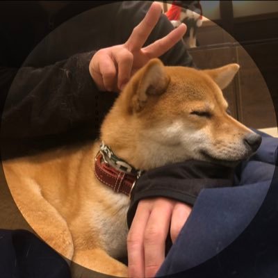 orgonさんのプロフィール画像