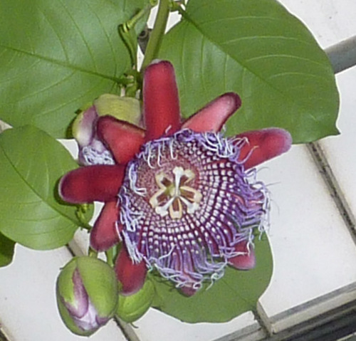 freethreader's profile picture. People before profits. Hypocrisy spotter.