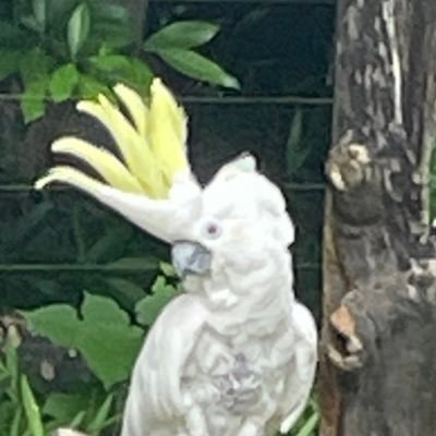 みいげさんのプロフィール画像