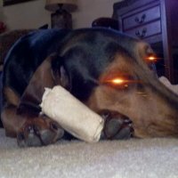 P (@wyattusurp) 's Twitter Profile