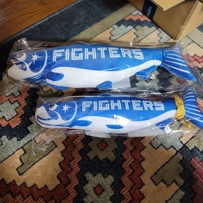 104_tossy's profile picture. ファイターズの伊藤、五十幡、近藤、中島、野村のファンです
きつねダンスも好きです‼️
新日本プロレスの棚橋、オカダ、内藤、高橋ヒロム、鷹木、鈴木みのる、矢野通が好きです😁
スターダム中野たむ、林下詩美好きです😄
トランキーロあっせんなよ‼️