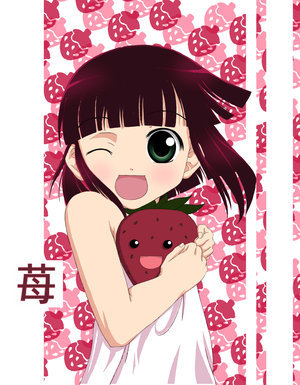 the_damn's profile picture. A colourful band of 4 girls in a sweet oshare kei style with English, Hungarian and Japanese lyrics.