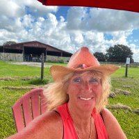 Terri cook (@terrico91633223) 's Twitter Profile