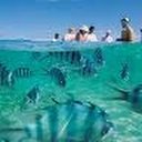 Jose olivarez - @Joseoli42194684 - Twitter