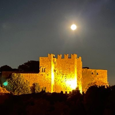 tyakauni's profile picture. UT理学部生化→理・生物科学D2