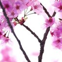 major Dawn - @Dawn2Major - Twitter