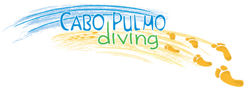 Divingcabopulmo's profile picture. We are Pilu and Henri, both PADI instructors living and diving in beautiful Cabo Pulmo (Baja California Sur). We offer daily dive trips and all PADI courses.