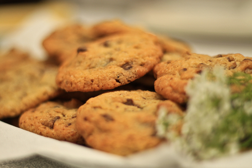 Cookies_lv's profile picture. 