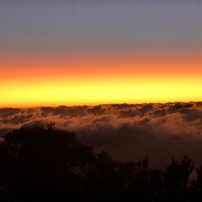 SabinePhilippin's profile picture. 