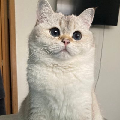 huza1fah's profile picture. 