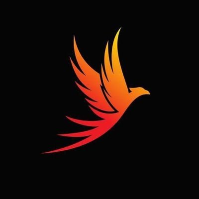 PROMOTION_USA11's profile picture. 📥DM For Shootout Inf (PayPal) 📥
🎬 DM Us For Credit it's Your Right
24*7 Days online our Team 📩
Trusted page
👥From 🇬🇧🇺🇸🇲🇽🇭🇲