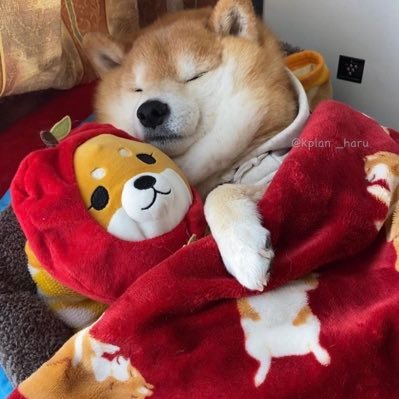 M1NECRAFT69's profile picture. taking L’s since 2017 - twitter is @m1necraft69