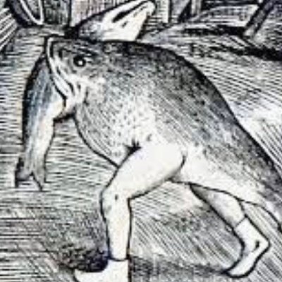 まくらさんのプロフィール画像