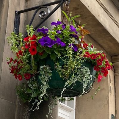 Making Haddington a brighter place. Britain in Bloom and Beautiful Scotland winners - Gold medal and Best Medium Town.  2019 RHS Britain in Bloom entrant.