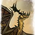 Shieldwall of Dragons Profile