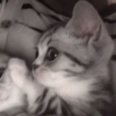 buatngambis23's profile picture. bodoamat pdhl ttp kepikiran