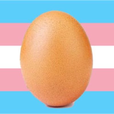 CrystalBalless's profile picture. She/her. 🏳️‍⚧️ MILF trans egg just starting to crack. 🔞 Big girl (6’, 240, 48A/50/46), interested in big-all-over men. Young👍 Jocks👍 All races 😉😎😇