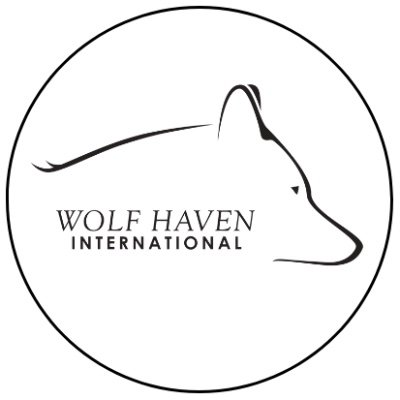 wolfhavenint Profile Picture