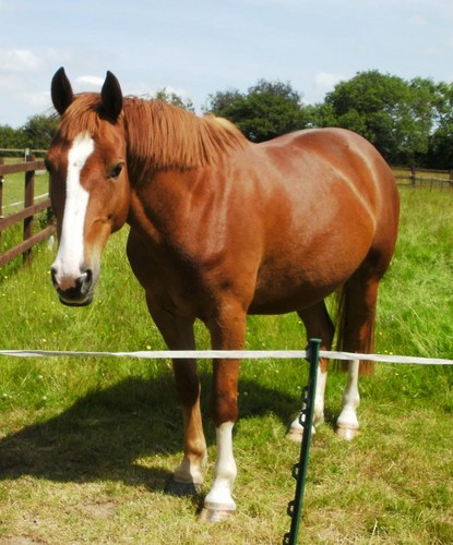 Pennant_Riding's profile picture. 