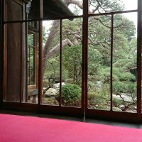 So-La CP (@solacp1) Twitter profile photo