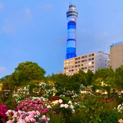 横浜の曙町、福富町、関内、伊勢佐木町、長者町。川崎の堀之内、南町。神奈川の厚木、相模原、大和。そして東京の蒲田、町田、で夜遊び！元風俗記者・風俗スタッフのアカウントです。