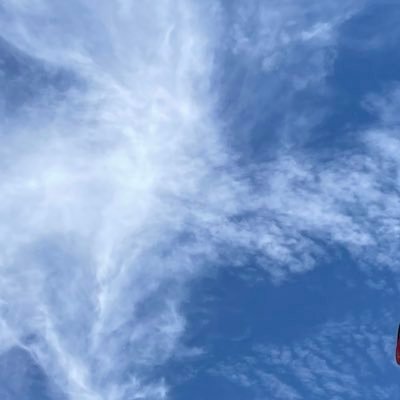 shu_xiaobai's profile picture. 