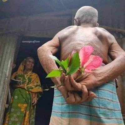 RaihanH09552264's profile picture. 